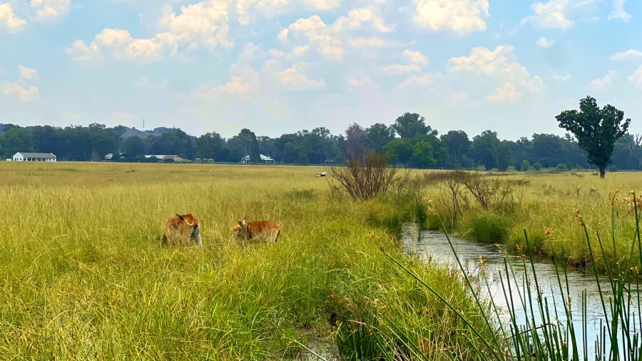 4 Bedroom Property for Sale in Walker Fruit Farms Gauteng