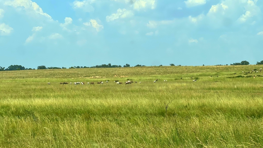 4 Bedroom Property for Sale in Walker Fruit Farms Gauteng