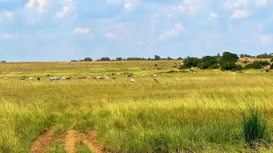 4 Bedroom Property for Sale in Walker Fruit Farms Gauteng