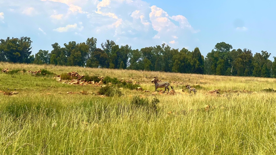 4 Bedroom Property for Sale in Walker Fruit Farms Gauteng