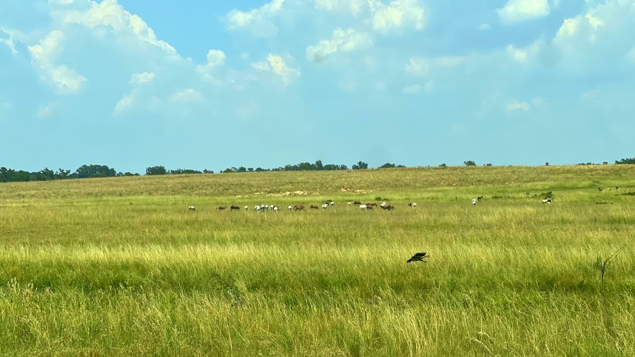 4 Bedroom Property for Sale in Walker Fruit Farms Gauteng