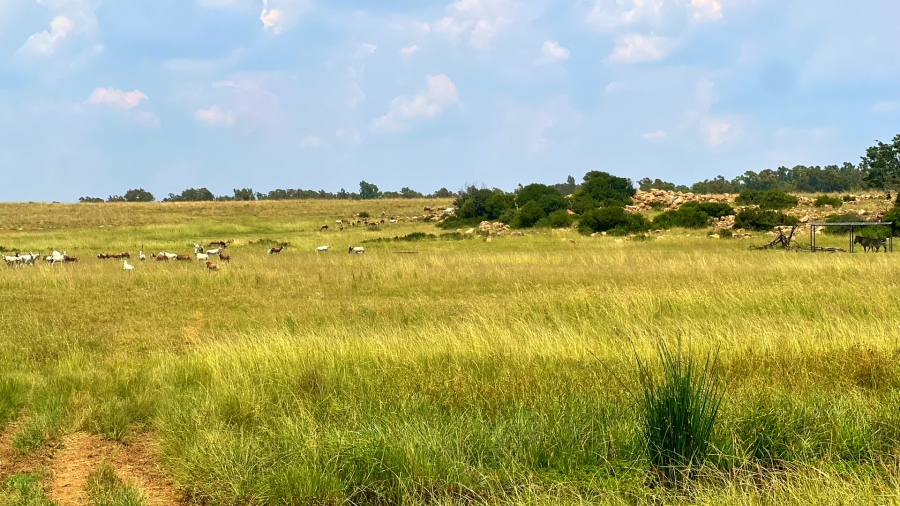 4 Bedroom Property for Sale in Walker Fruit Farms Gauteng