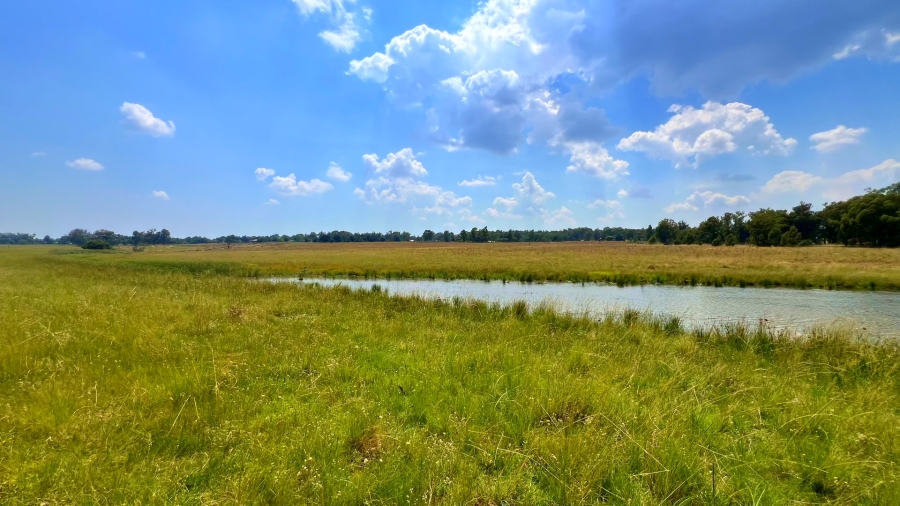 4 Bedroom Property for Sale in Walker Fruit Farms Gauteng