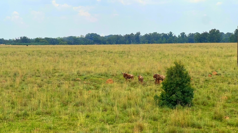 4 Bedroom Property for Sale in Walker Fruit Farms Gauteng