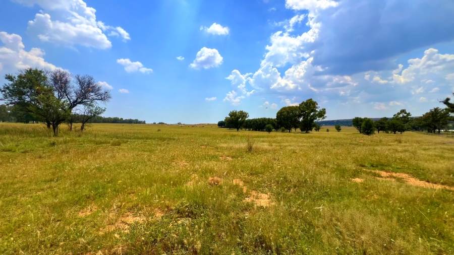 4 Bedroom Property for Sale in Walker Fruit Farms Gauteng