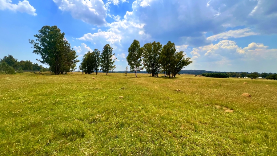 4 Bedroom Property for Sale in Walker Fruit Farms Gauteng