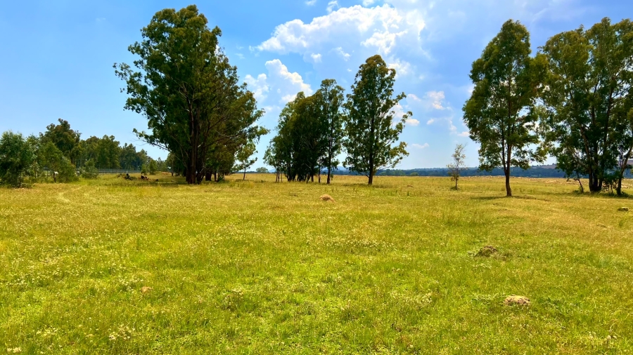 4 Bedroom Property for Sale in Walker Fruit Farms Gauteng