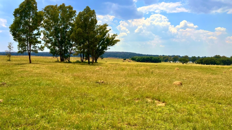 4 Bedroom Property for Sale in Walker Fruit Farms Gauteng