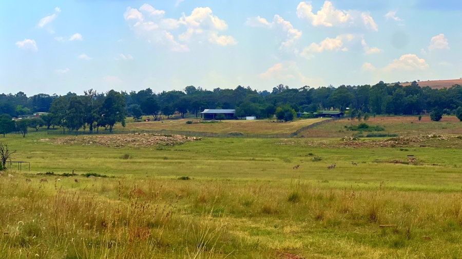 4 Bedroom Property for Sale in Walker Fruit Farms Gauteng