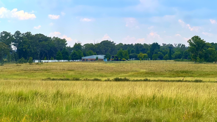 4 Bedroom Property for Sale in Walker Fruit Farms Gauteng