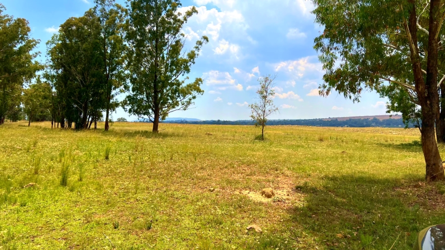 4 Bedroom Property for Sale in Walker Fruit Farms Gauteng