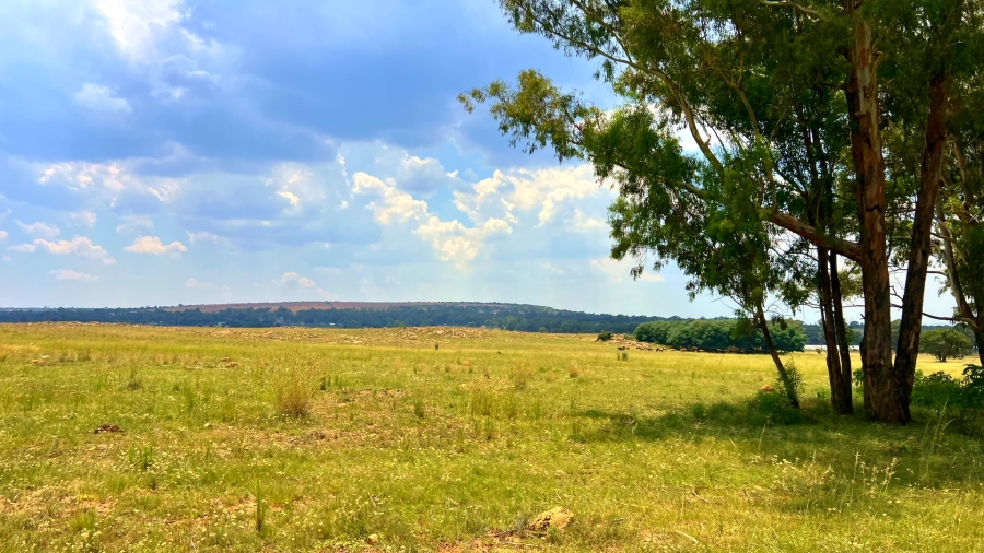 4 Bedroom Property for Sale in Walker Fruit Farms Gauteng