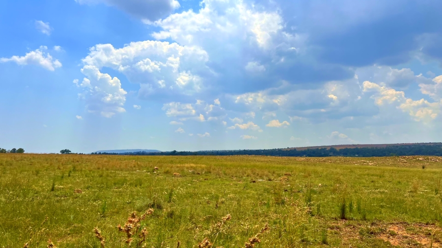 4 Bedroom Property for Sale in Walker Fruit Farms Gauteng