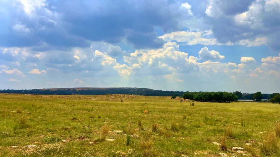 4 Bedroom Property for Sale in Walker Fruit Farms Gauteng