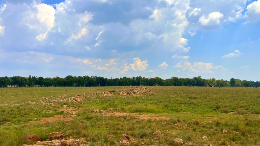 4 Bedroom Property for Sale in Walker Fruit Farms Gauteng