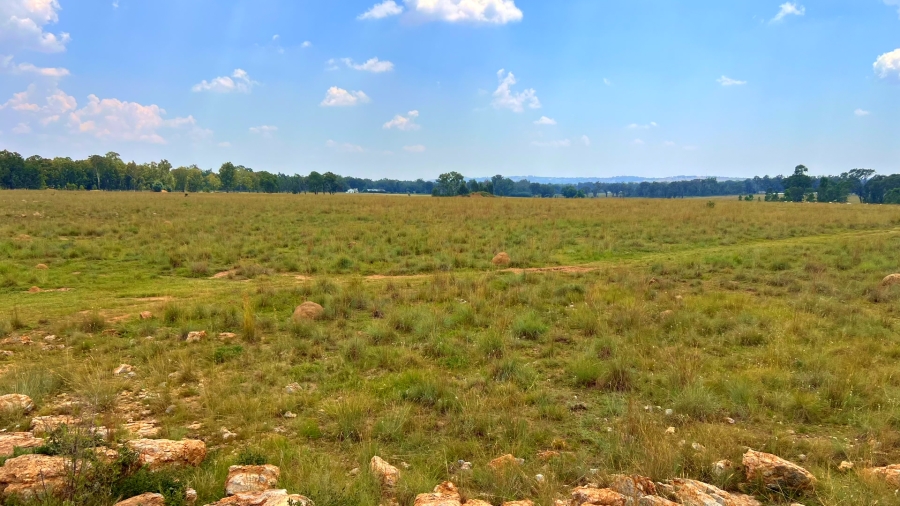 4 Bedroom Property for Sale in Walker Fruit Farms Gauteng