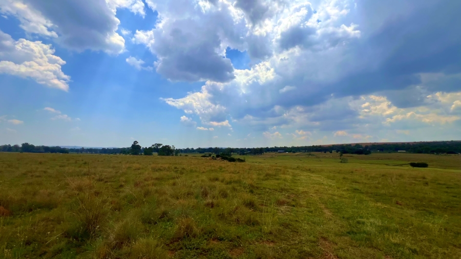 4 Bedroom Property for Sale in Walker Fruit Farms Gauteng