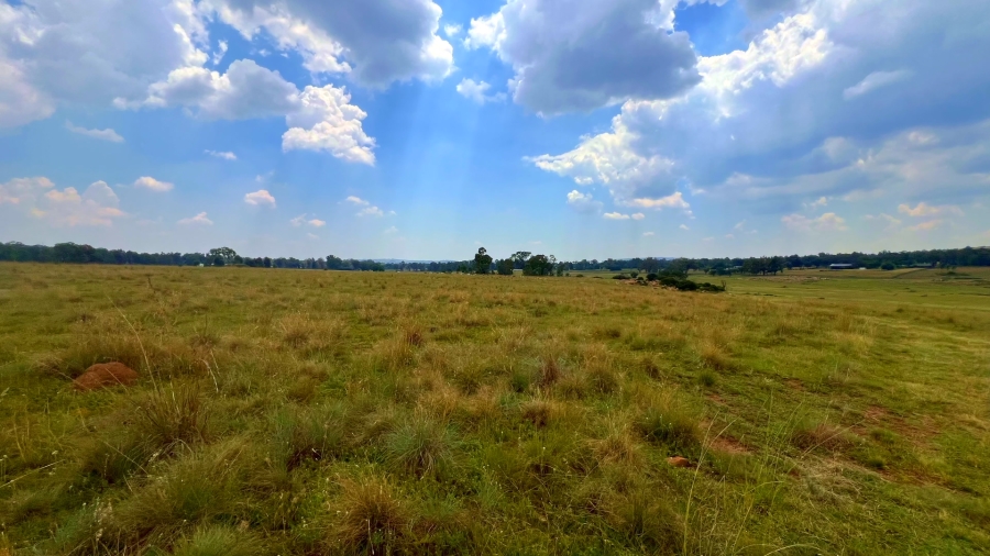 4 Bedroom Property for Sale in Walker Fruit Farms Gauteng