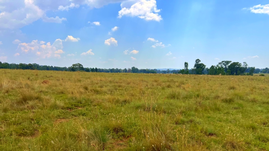 4 Bedroom Property for Sale in Walker Fruit Farms Gauteng