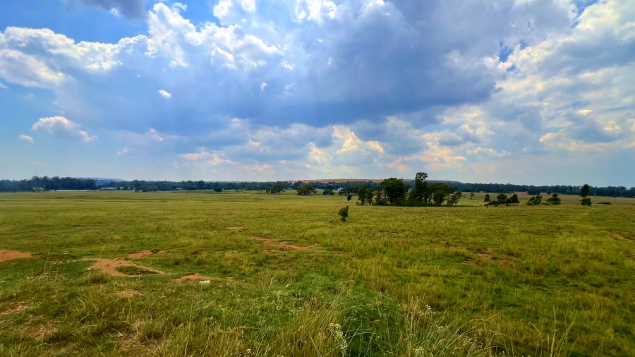 4 Bedroom Property for Sale in Walker Fruit Farms Gauteng