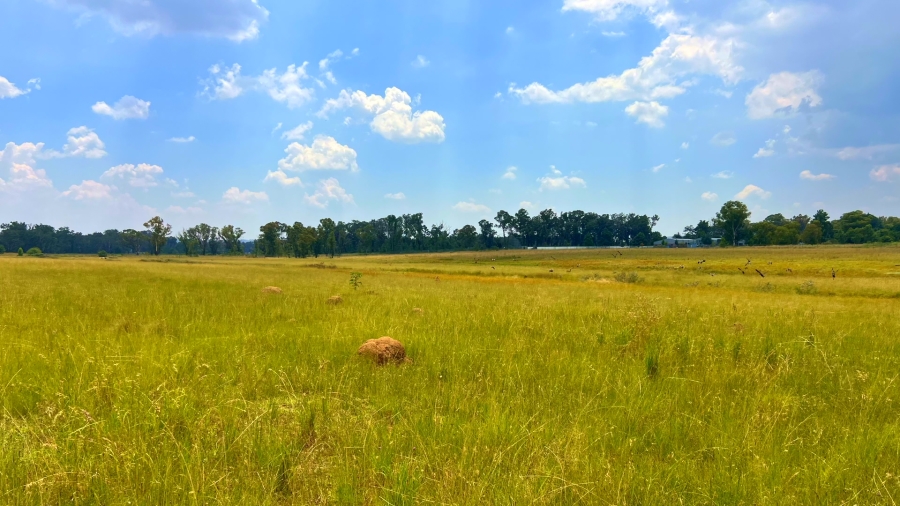 4 Bedroom Property for Sale in Walker Fruit Farms Gauteng