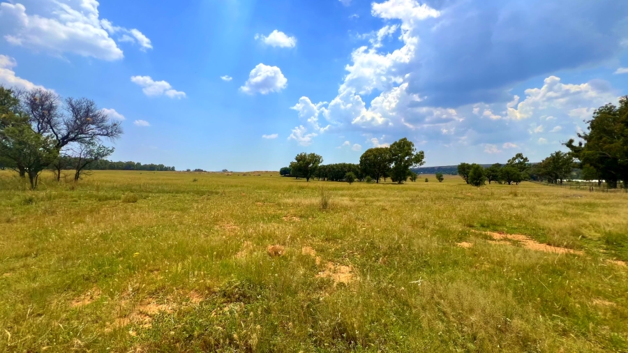 4 Bedroom Property for Sale in Walker Fruit Farms Gauteng