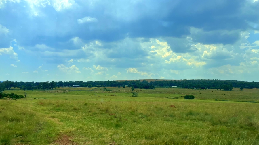 4 Bedroom Property for Sale in Walker Fruit Farms Gauteng