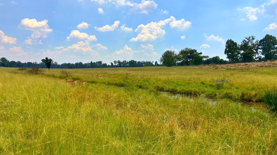 4 Bedroom Property for Sale in Walker Fruit Farms Gauteng