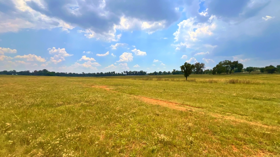 4 Bedroom Property for Sale in Walker Fruit Farms Gauteng