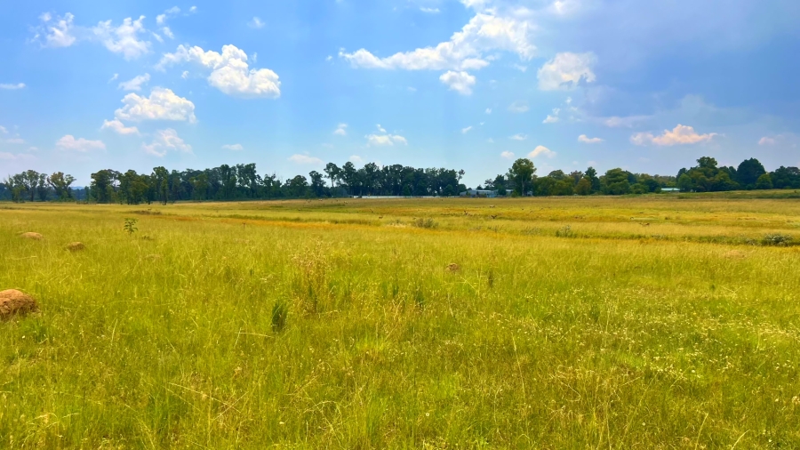 4 Bedroom Property for Sale in Walker Fruit Farms Gauteng