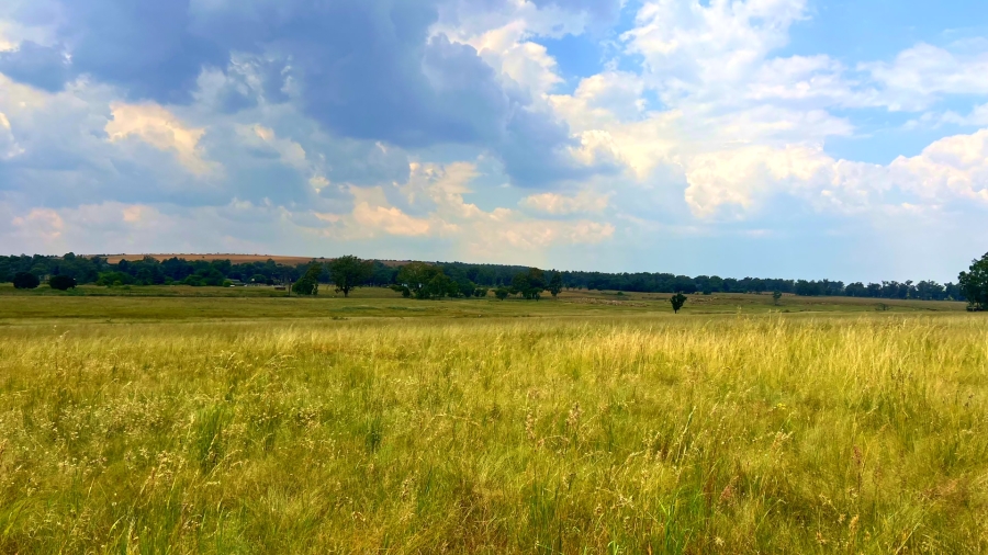 4 Bedroom Property for Sale in Walker Fruit Farms Gauteng