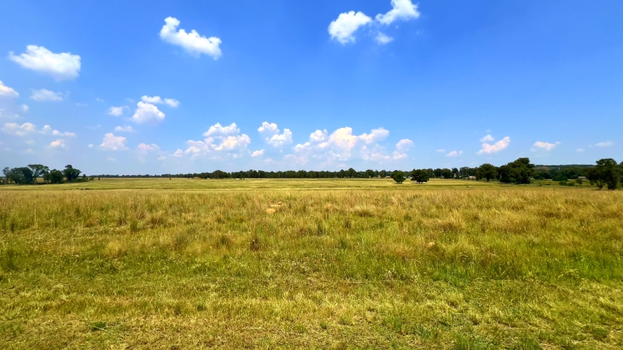 4 Bedroom Property for Sale in Walker Fruit Farms Gauteng