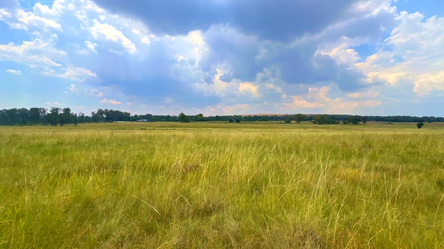 4 Bedroom Property for Sale in Walker Fruit Farms Gauteng