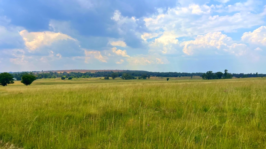 4 Bedroom Property for Sale in Walker Fruit Farms Gauteng