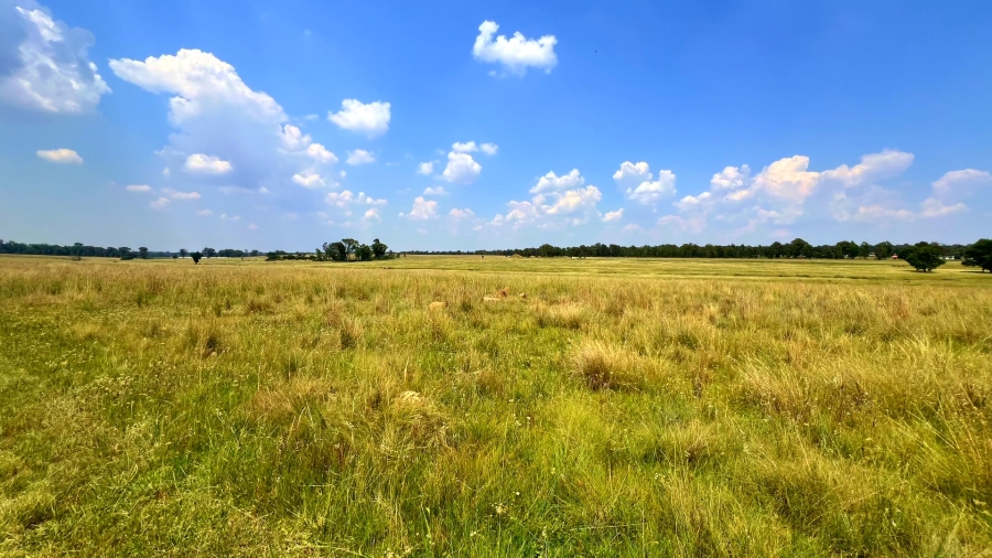 4 Bedroom Property for Sale in Walker Fruit Farms Gauteng