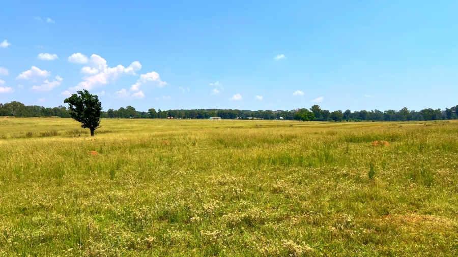 4 Bedroom Property for Sale in Walker Fruit Farms Gauteng