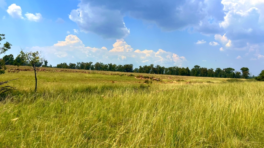 4 Bedroom Property for Sale in Walker Fruit Farms Gauteng