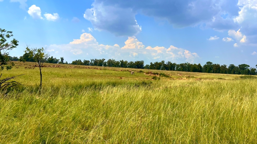 4 Bedroom Property for Sale in Walker Fruit Farms Gauteng