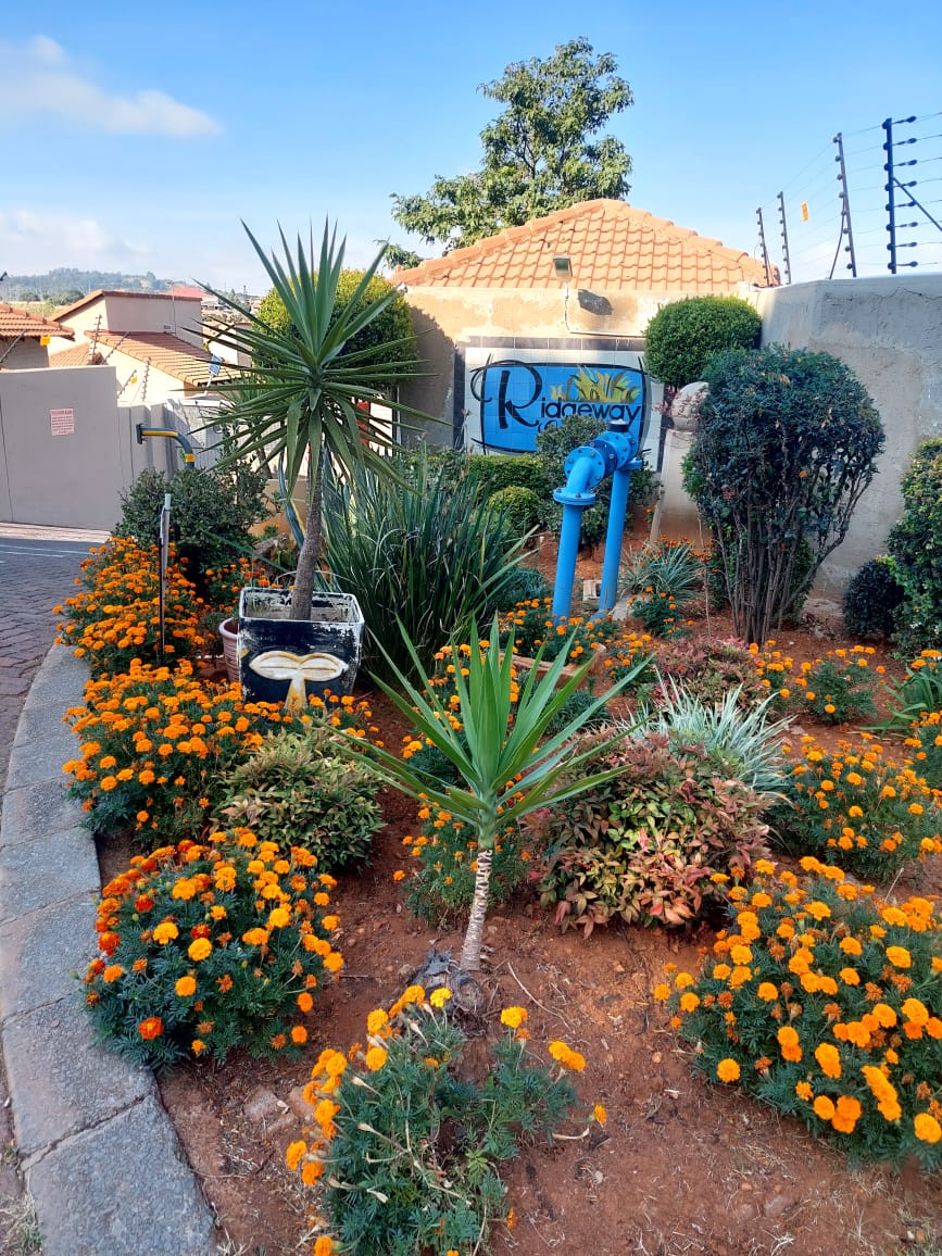 To Let 3 Bedroom Property for Rent in Ridgeway Gauteng