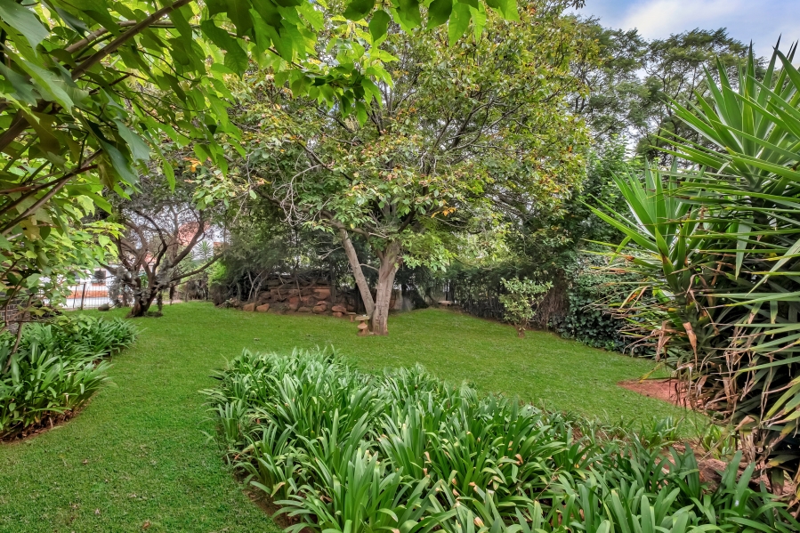 5 Bedroom Property for Sale in Emmarentia Gauteng