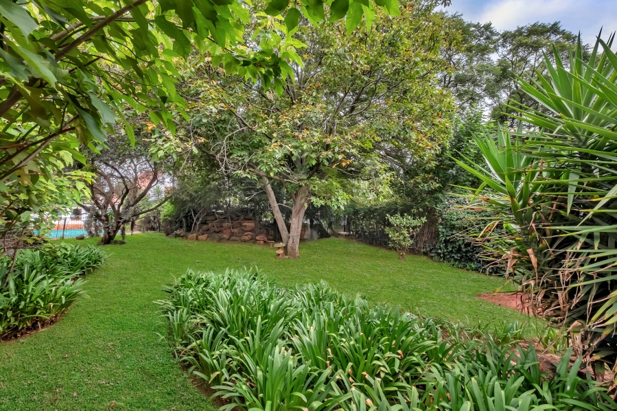 5 Bedroom Property for Sale in Emmarentia Gauteng