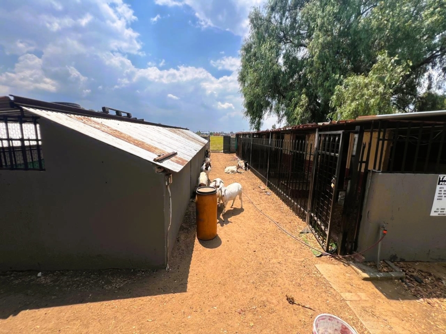 4 Bedroom Property for Sale in Buyscelia Gauteng