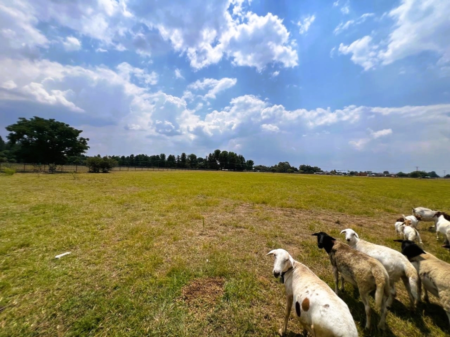 4 Bedroom Property for Sale in Buyscelia Gauteng