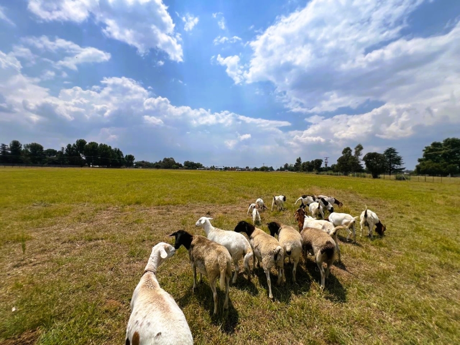 4 Bedroom Property for Sale in Buyscelia Gauteng