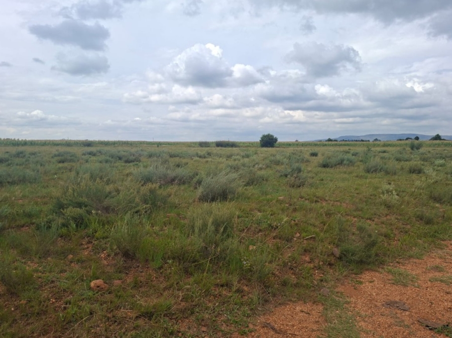 0 Bedroom Property for Sale in Henley on Klip Gauteng