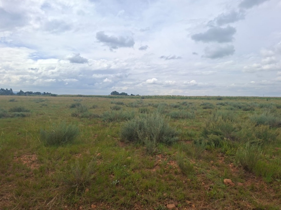 0 Bedroom Property for Sale in Henley on Klip Gauteng