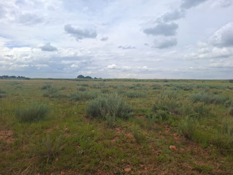 0 Bedroom Property for Sale in Henley on Klip Gauteng