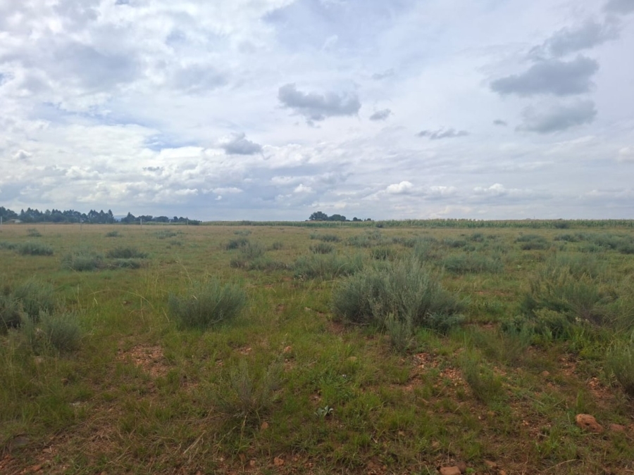 0 Bedroom Property for Sale in Henley on Klip Gauteng