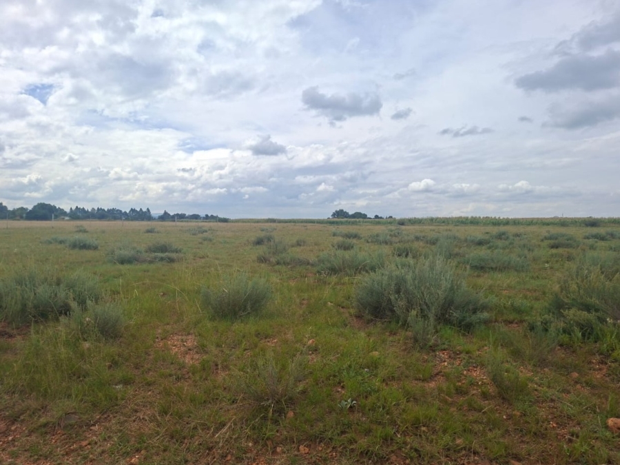 0 Bedroom Property for Sale in Henley on Klip Gauteng