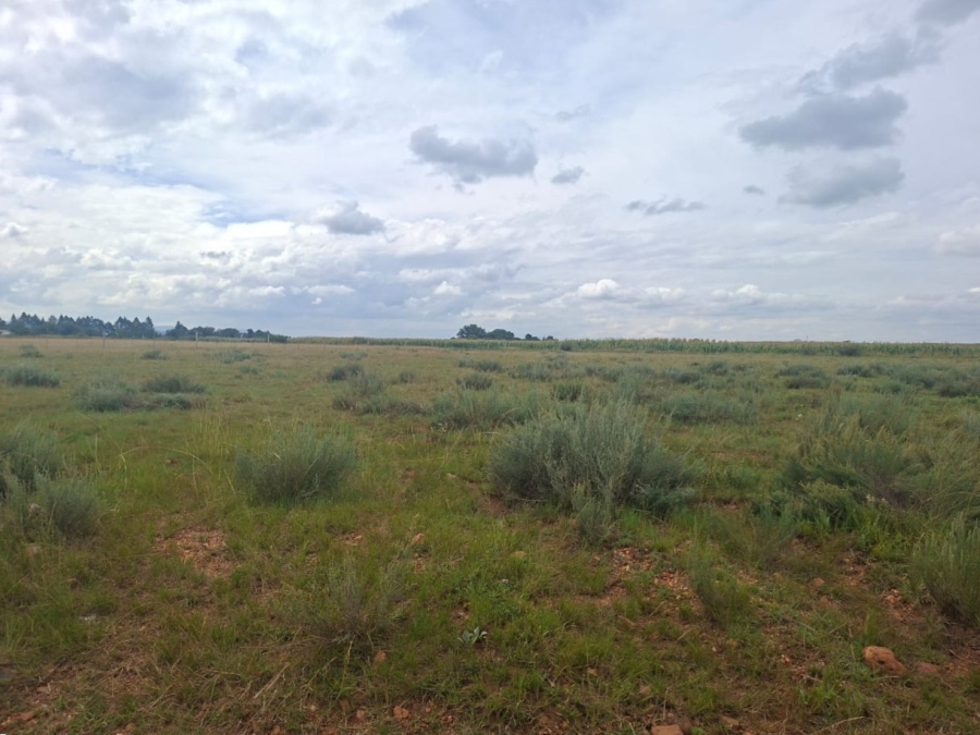 0 Bedroom Property for Sale in Henley on Klip Gauteng